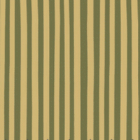 Olive Gold Stripe