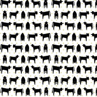 Black Angus on White Fabric