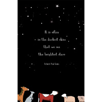 The Brightest Stars