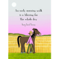 An Early Morning Walk