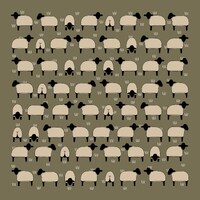 Black Face Sheep