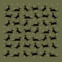 Black And Tan Kelpies