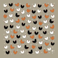Chooks