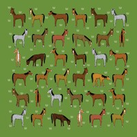 Horses