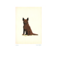 Red Kelpie A4 Print on Paper