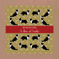 Border Collie Boxed Set (L)