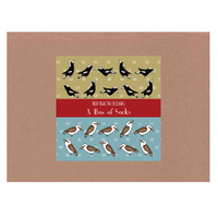 Kookaburra / Magpie Boxed Set (L)