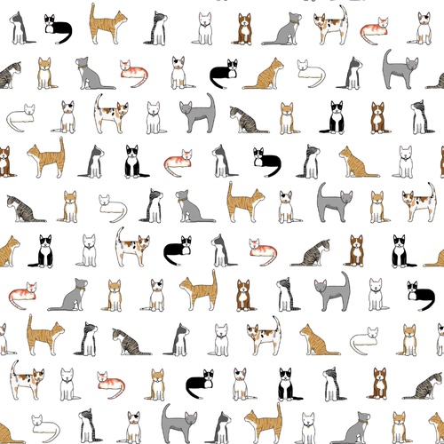 Cats On White