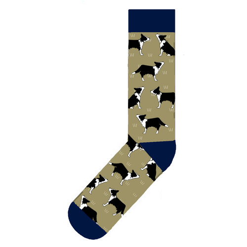 Border Collies On Gold