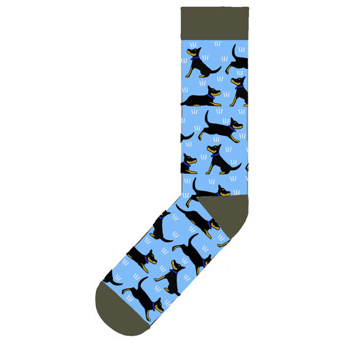 Black and Tan Kelpies On Light Blue