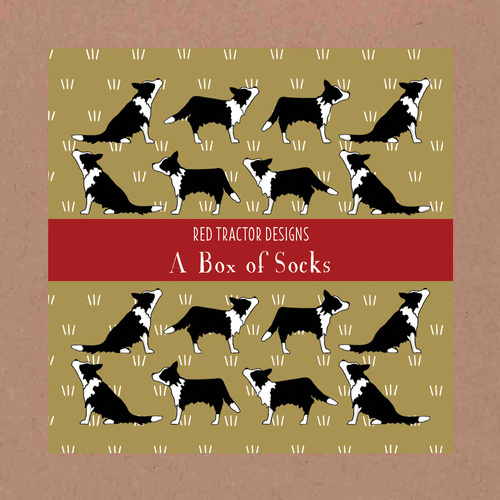 Border Collie Boxed Set (Navy Cuff)