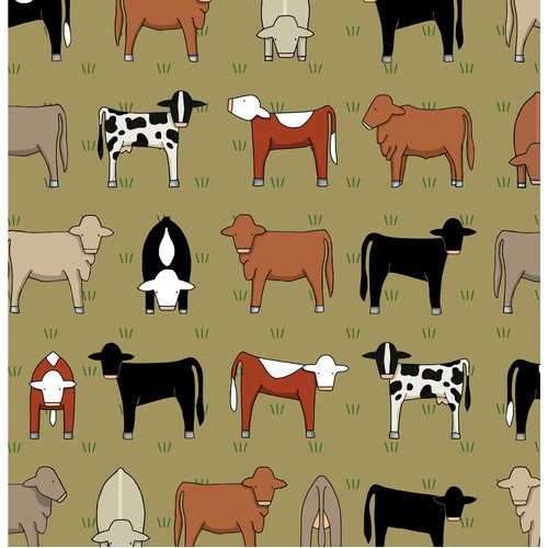 Mixed Cows On Olive
